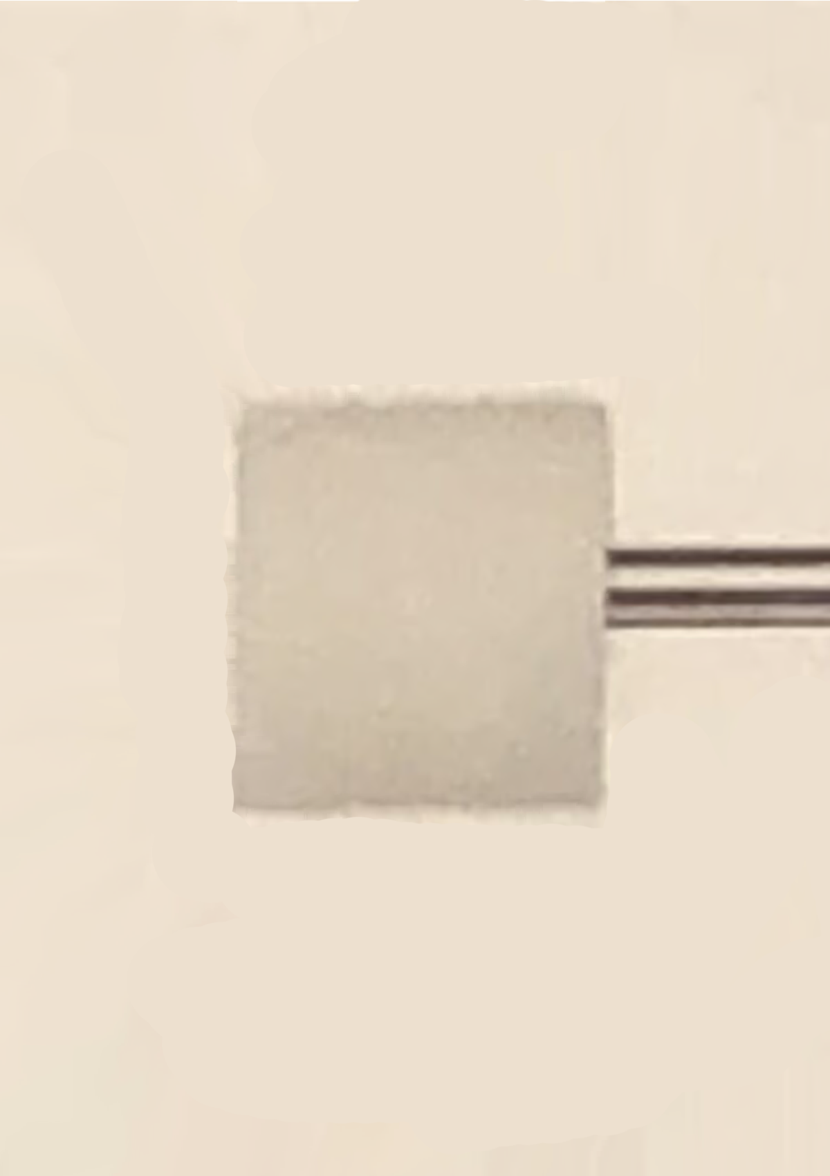 ［アタッチメント］爪表面用（ホワイト）